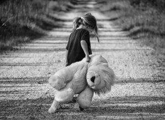 Jak się nazywa dziecko delfina?