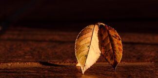 O której godzinie robi się ciemno w Tajlandii?