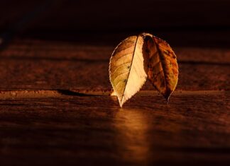 O której godzinie robi się ciemno w Tajlandii?