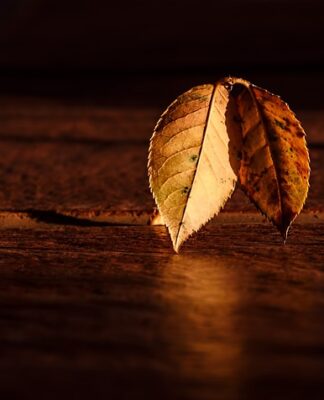 O której godzinie robi się ciemno w Tajlandii? O której godzinie robi się ciemno w Tajlandii?