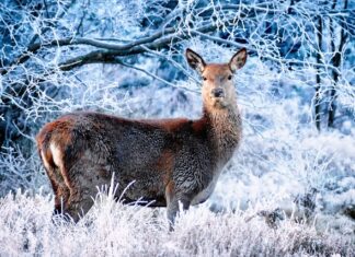 Gdzie w zimie na wakacje? Gdzie w zimie na wakacje?