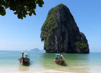 Czy na Krabi są rekiny?