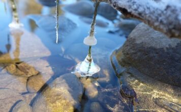 Gdzie jest 20 stopni w styczniu?