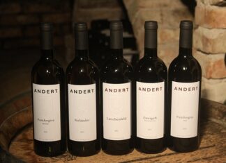 Kto rządzi w polskim Kościele?