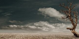 Czy Polak może kupić ziemię w Chorwacji?