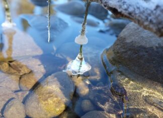 Gdzie jest ciepło i tanio w styczniu? Gdzie jest ciepło i tanio w styczniu?