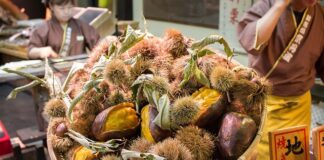 Jak tanio dojechać do Danii?