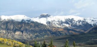 Do jakiej miejscowości nad morze?