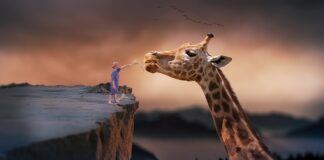 Gdzie można żyć za 1000 euro?