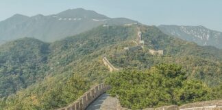 Co dziwnego jedzą w Chinach?