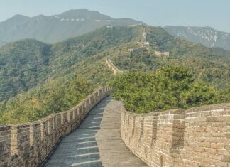 Co dziwnego jedzą w Chinach?