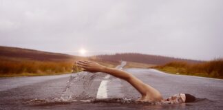 Czy pływanie z delfinami jest bezpieczne?