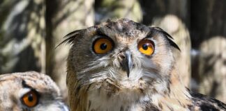 Gdzie najtaniej w Europie na wakacje?