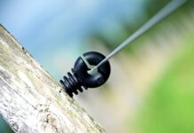 Ile Polaków mieszka w Portugalii?