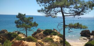 Kiedy najtaniej do Portugalii?