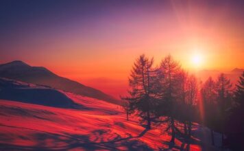 Do jakiego kraju najlepiej wyjechać do pracy?