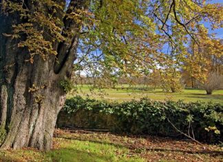 Co to znaczy że państwo jest świeckie? Co to znaczy że państwo jest świeckie?