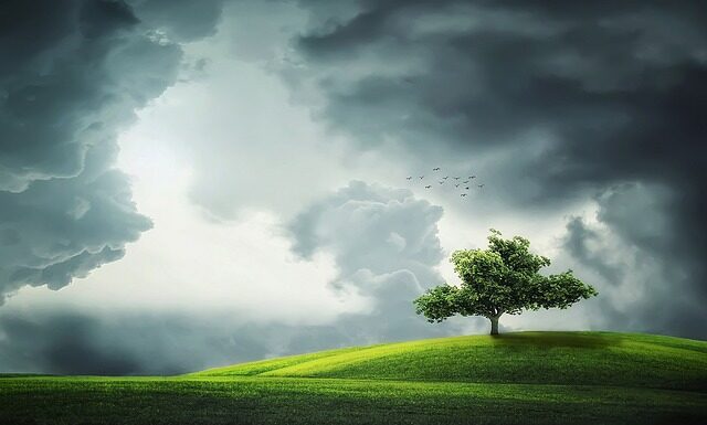 Jaka jest pogoda w lutym na Malcie?