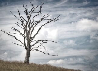 Gdzie żyje się najlepiej? Gdzie żyje się najlepiej?