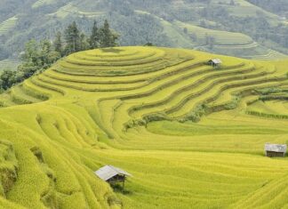 Ile czasu na Phi Phi? Ile czasu na Phi Phi?