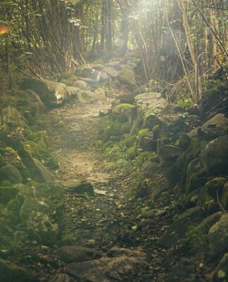 Ile kosztuje wycieczka do Portugalii?