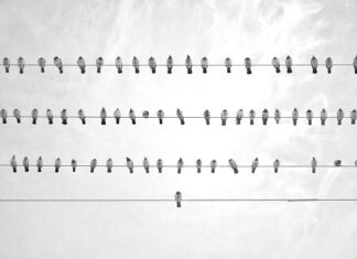 Jak stać się transem?