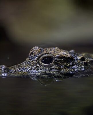 Jaki jest najbardziej niebezpieczny kraj na świecie?
