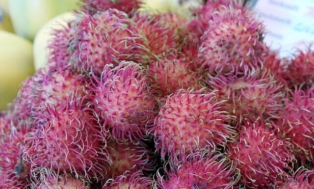 Jak smakuje Rambutan? Jak smakuje Rambutan?