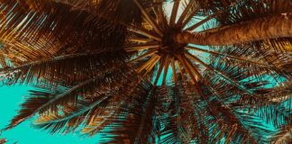 Gdzie lato trwa cały rok?