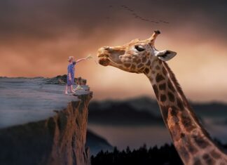 Gdzie najtaniej żyć na emeryturze?