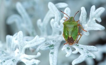W jakim kraju jest tanie życie? W jakim kraju jest tanie życie?