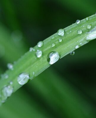 Czy we Francji jest Biedronka?